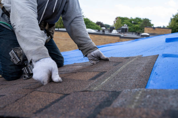 Best Gutter Installation and Repair  in West Sharyland, TX