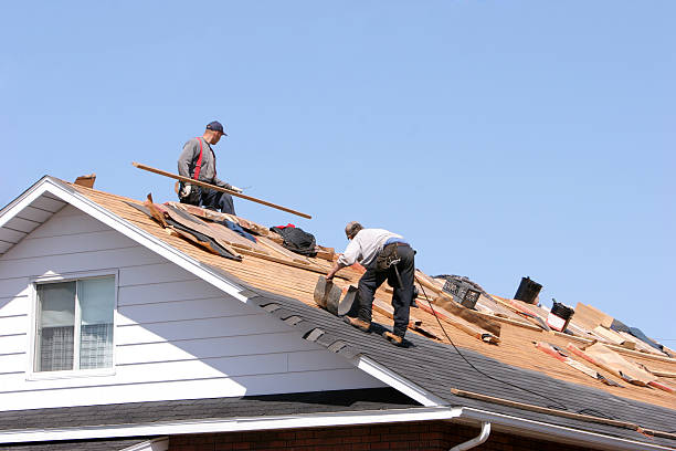 Professional Roofing services in West Sharyland, TX